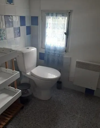 Des Flots De Ma Vie - Florence Et Virginie Gossin - *