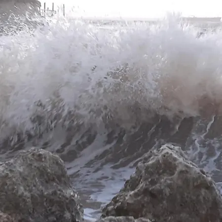 아파트 Des Flots De Ma Vie - Florence Et Virginie Gossin - *