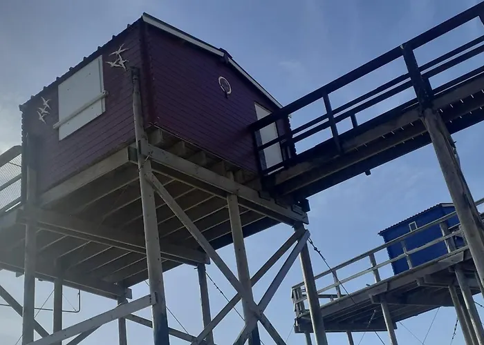 Appartement Des Flots De Ma Vie - Florence Et Virginie Gossin - Barzan
