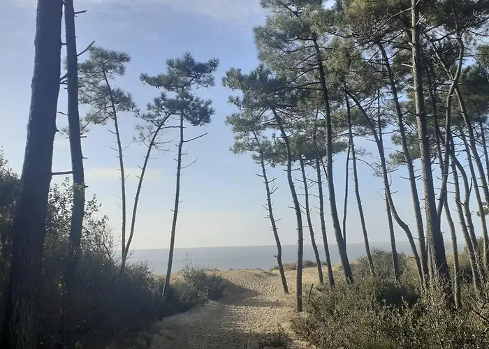Des Flots De Ma Vie - Florence Et Virginie Gossin - Appartement Barzan